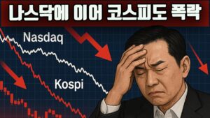 코스피 코스닥 대폭락의 4가지 이유