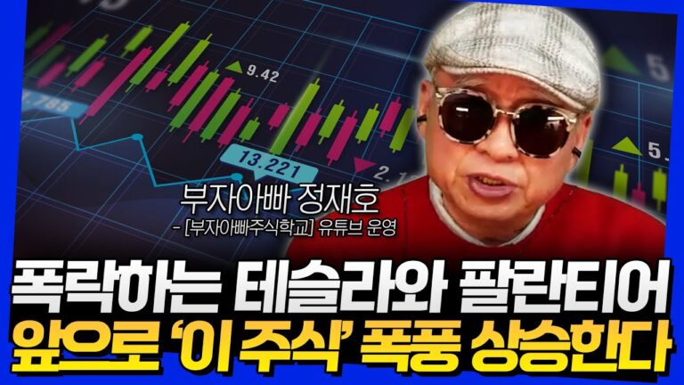 폭락하는 테슬라와 팔란티어! 앞으로 ‘이 주식’ 폭풍 상승한다 (부자아빠 정재호 3부)