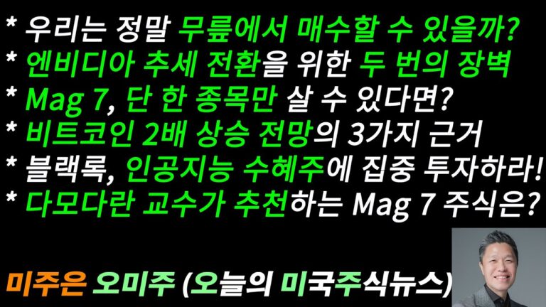 [오늘의 미국주식뉴스] 비트코인 2배 상승 전망의 3가지 근거 / Mag 7, 단 한 종목만 살 수 있다면? / 다모다란 교수 추천 Mag 7 주식 /엔비디아 추세 전환은 여기서