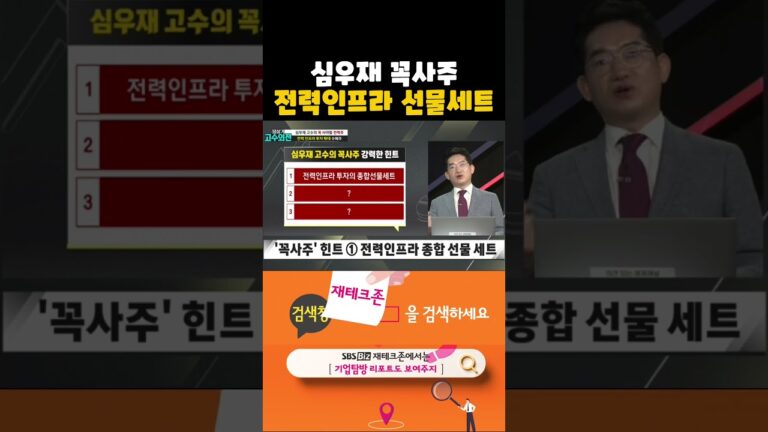 심우재 전문가 꼭사주, 실적 좋고 AI테마 수혜 받는 전력인프라 선물세트(20240902)