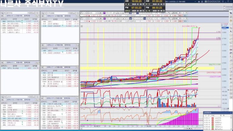 나르샤주식부자TV  1월   6일  국내장, 미국장 종목 매수 매도방법,  주식공부방,  단타, 스윙, 매매 자리 찾는 방법