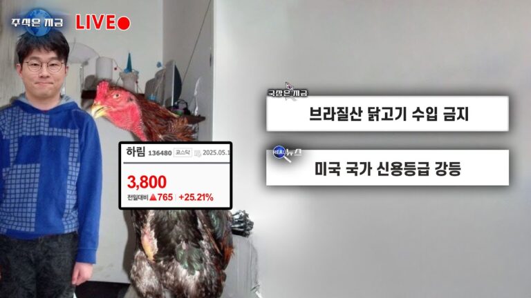 브라질산 닭고기 수입 금지ㅣ미국 국가 신용등급 강등