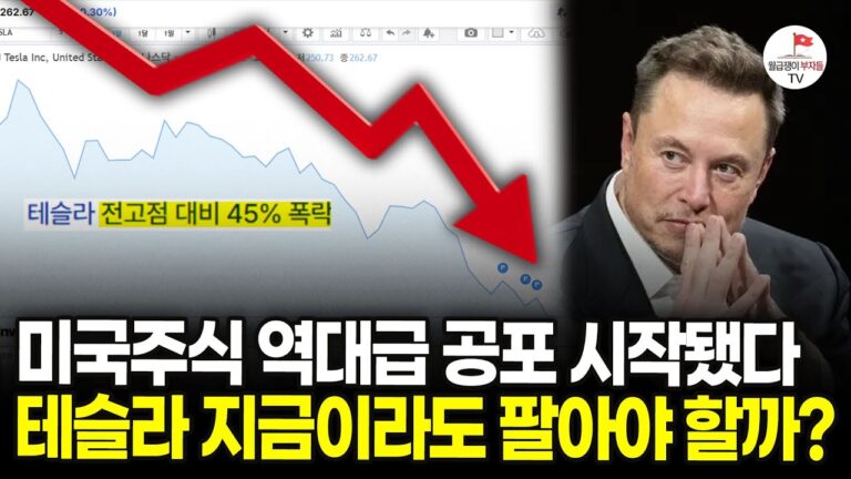 결국 반토막난 엔비디아, 테슬라… 이제 미국주식 슬슬 끝물일까? (구해줘월부 주식상담)
