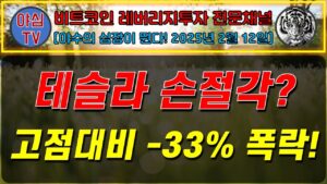 [BTC 레버리지 실전투자] 테슬라 손절각? 고점대비 -33% 폭락! [경제적자유ㅣ확실한 노후준비ㅣ야심매매법]
