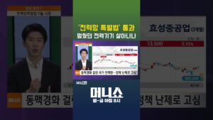 [머니숏] '전력망 특별법' 통과 멈췄던 전력기기 살아나나 #shorts