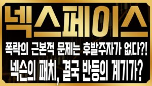 [넥스페이스 코인전망] 넥스페이스 폭락의 근본적 원인은 따로있었다? 메이플스토리N의 경제시스템 결함, 넥슨이 칼빼든 이유 #NXPC