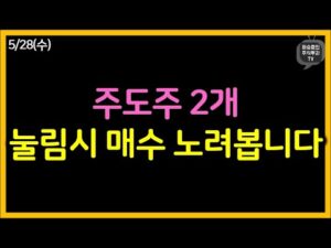 주도주 2개 눌림시 매수 노려봅니다.