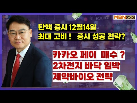 탄핵소추 2차 이후에 증시 전략,카카오페이 매수, ,2차전지매수  ,외국인+투신+연기금 매집 종목  TOP공개 (24.12.9) [대장주발굴의 달인 박병주]
