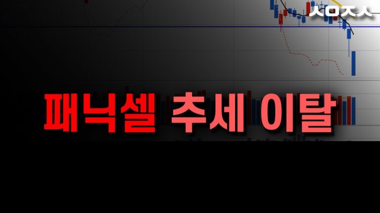 지치고 너무하고 미국주식 가자 패닉셀 발생. 잠시만요! (나스닥.TQQQ.테슬라.비트코인)