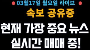(주식 속보 실시간) 가장 중요 뉴스들만 공유중!! 실시간 매매중! / [2025년3월17일 월요일]  진짜 주식정보는 여기! *얕은개미 실시간*