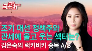 조기 대선 정책주와 관세에 울고 웃는 섹터는?  | 감은숙 | 국고처 04/12