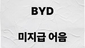 BYD 미지급 어음 76조