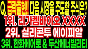 Q. 🔥🔥장막판 급락출현!! 다음 시장을 주도할 주식은?! 🚀3위. 한화에어로 & 두산에너빌리티 2위. 실리콘투 에이피알 1위. 리가켐바이오 & XXXX 공개합니다!!