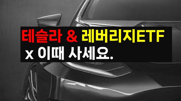 테슬라 레버리지 TSLL 매수타이밍 공식