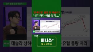 [머플] '관세전쟁' 불똥 튄 테슬라? 분기마다 매출 달라… #한용희
