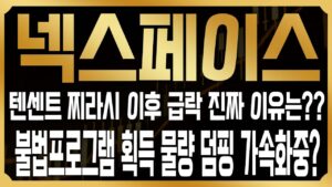 [넥스페이스 코인전망] 최근 급등뒤 폭락, 결국 문제는 메이플N의 불법프로그램 유저들의 덤핑? 지금 대응은 '이렇게' 하셔야 합니다! #NXPC
