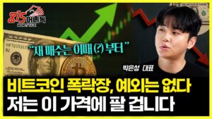 "이번에도 예외 없다! 비트코인 폭락장 오기 전 "매도할 타이밍은 여기" / 저는 이때부터  재 매수 할 겁니다. | 코인이슈경제채널 박은성 대표