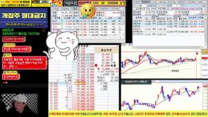 한화엔진 폴라리스ai 제룡전기 루닛 흥아해운 셀비온 카페24, 클로봇/ 주식고수 주식방송, 실전매매, 단타, 실시간방송,스켈핑, 급등주, 손절매 ( 주포, 돈크, 나주다, 용느 )