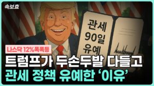 [속보효] 간밤에 나스닥 12% 급상승!!!! 저도 이런건 처음봅니다... 트럼프가 이런 결정을 하게 된 결정적인 이유는 '이것' 같아요