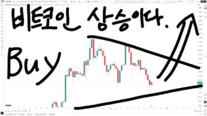 코스피 5000? // 비트코인 5억 간다. 그냥 사라 제발 좀.