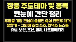주말중 가장 관심이 쏠렸던 유심관련주 대거 상한가 - 그외에 조선은 지속 수주, 한덕수 뉴스등 / 코나아이,드림시큐리티,한미반도체,한화비전,한화오션,비에이치아이,한화시스템,아톤