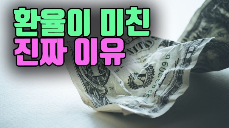 역대급 롤러코스터? 환율이 미친 진짜 이유.