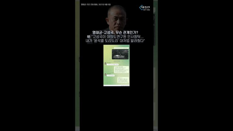 명태균-고성국, 무슨 관계인가?! 관련 녹취 공개 (feat. 윤도리도리)