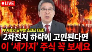 2차전지 하락에 고민 된다면, 이 '세가지' 주식 꼭 보세요. ( 조진표 대표 )