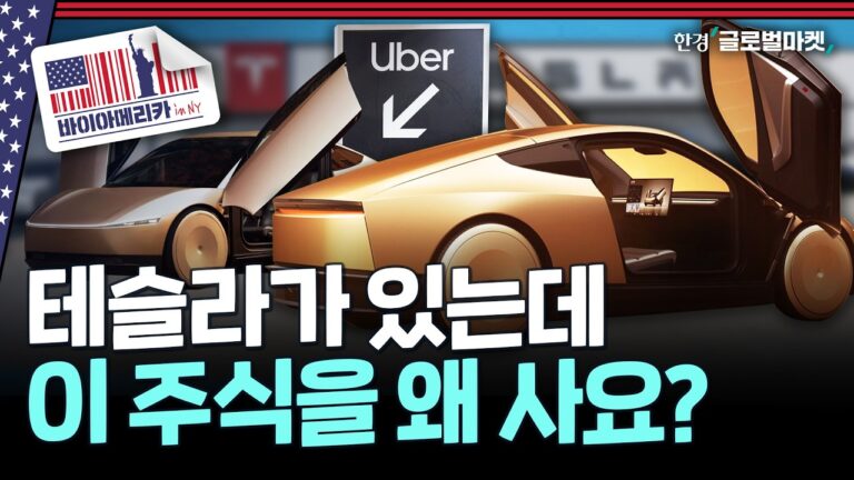 테슬라 찐 팬들은 인정 못하는 이 기업의 질주…월가의 톱픽, 우버의 미래 | 바이아메리카 in 뉴욕