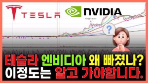 테슬라 엔비디아 왜 빠졌나? 이 정도는 알고 가야합니다...