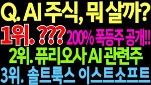 Q. AI 주식, 뭐 살까? [ 1위. ??? 200% 폭등주 공개!! 2위. 퓨리오사 AI 관련주 3위. 솔트룩스 이스트소프트 ] 이재명AI대장주 feat. 디에스경제뉴스 광수