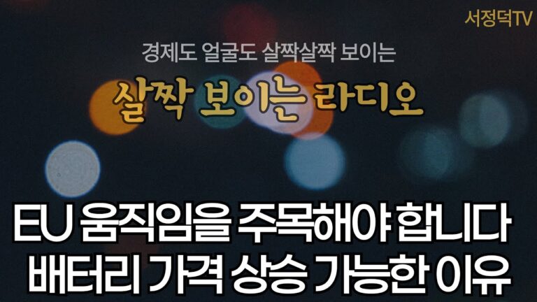 내년 에코프로비엠 실적 전망이 이렇다고?