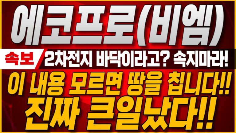 [에코프로 에코프로비엠 주가전망] 2차전지 바닥이니 매수하라고? 절대 속지마세요! 이내용 모르면 진짜 큰일납니다. 2025년 하반기 이렇게 변경됩니다.