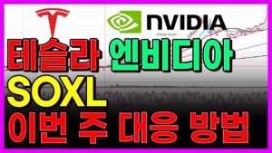 테슬라 엔비디아 SOXL 이번 주 대응 방법