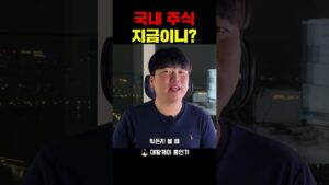 국내주식 지금인가요?