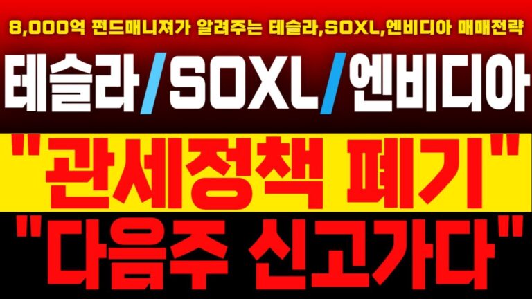 [테슬라/엔비디아/SOXL 주가분석] 다음주 신고가다!/#테슬라#테슬라주가#테슬라주가분석#테슬라주가전망#테슬라실적#테슬라목표가#TSLA#킴스미국주식#엔비디아#soxl#엔비디아실적