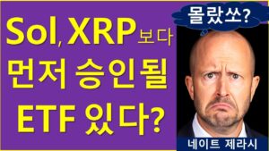 솔라나, 리플보다 먼저 승인될 ETF..? (ft. 핵심지표)