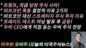 [오늘의 미국주식뉴스] 트럼프 지금 당장 주식을 사라 / 비트코인 폭등 결정적 이유 2가지 / 비트코인 대신 마이크로 스트레티지에 투자하라 / 우버 CEO가 말하는 우버 주식 전망