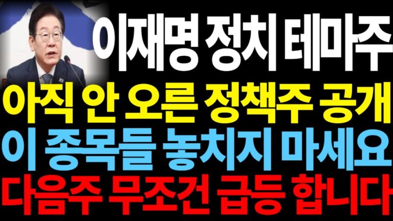 이재명 정치 테마주] 아직 안 오른 정책주 공개 이 종목들 놓치지 마세요 다음주 무조건 급등 합니다 feat.디에스경제뉴스 케빈 이재명정책주 이재명테마주 정치테마주