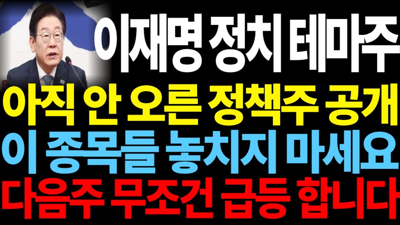 이재명 정치 테마주] 아직 안 오른 정책주 공개 이 종목들 놓치지 마세요 다음주 무조건 급등 합니다 feat.디에스경제뉴스 케빈 이재명정책주 이재명테마주 정치테마주