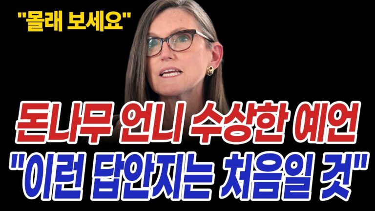 비트코인 캐시우드의 확언 코인시장 하반기 “정확히 이렇게 됩니다”
