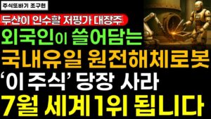 [주식] 7월에는 외국인이 쓸어담고 있는 아무도 몰랐던 국내유일 원전해체로봇 저평가 대장주 '이 주식' 사세요. 세계1위 미친듯 오를겁니다 #원전 #SMR #로봇 #두산 #주식전망