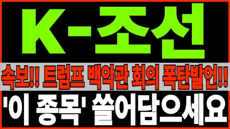 [K-조선] 속보!! 트럼프 백악관 회의 폭탄 발언!! ‘이 종목’ 쓸어 담으세요 조선관련주 조선대장주 트럼프수혜주 주가 주가전망 목표가feat. 디에스경제뉴스 광수