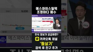 에스와이스틸텍은 우크라이나 재건 테마 대장주. 조정받을 때마다 매수하자(20241122)