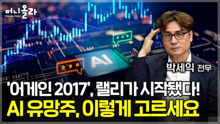PER 높아도 성장률 봐야…프리미엄에 투자하라 [박세익 전무 2부]