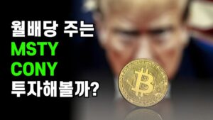 254. msty, cony는 지금이 딱 매수타이밍입니다