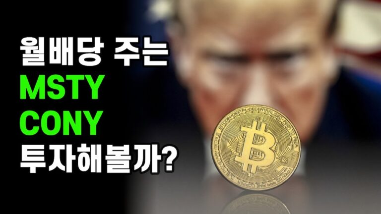 254. msty, cony는 지금이 딱 매수타이밍입니다
