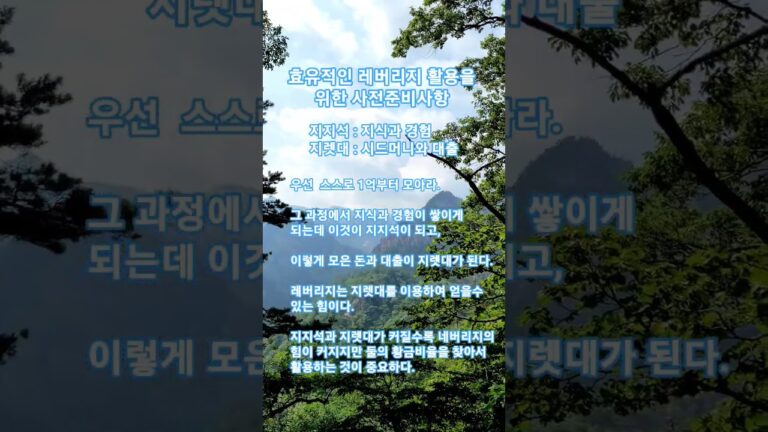 레버리지의 효유적인 사용방법 #이하영 #머니인사이드 #인생의연금술 #명언 #부자의삶 #입문과정 #좋은글 #주린이공부 #지혜 #주식투자의신 #주식투자